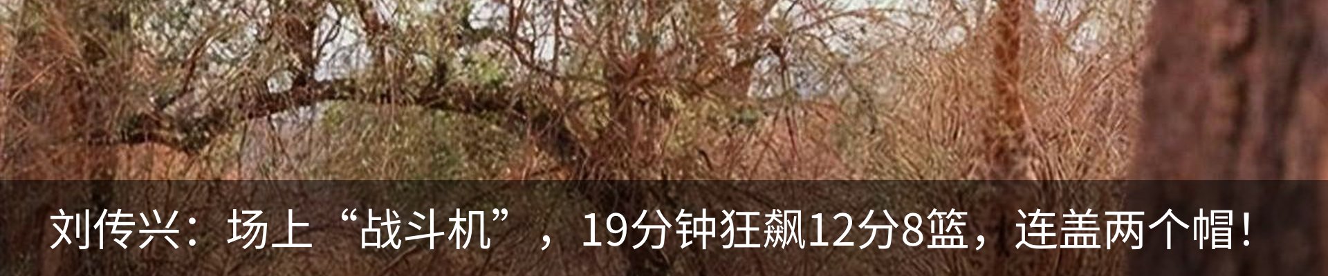 新闻中心