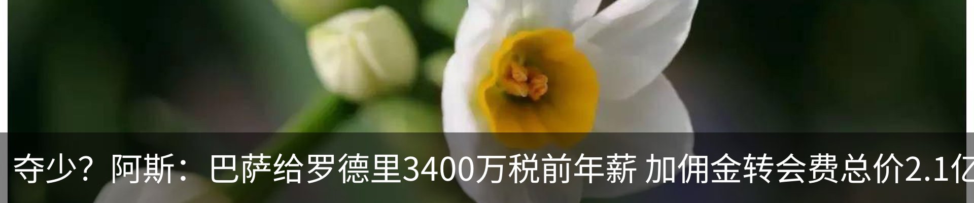 新闻中心