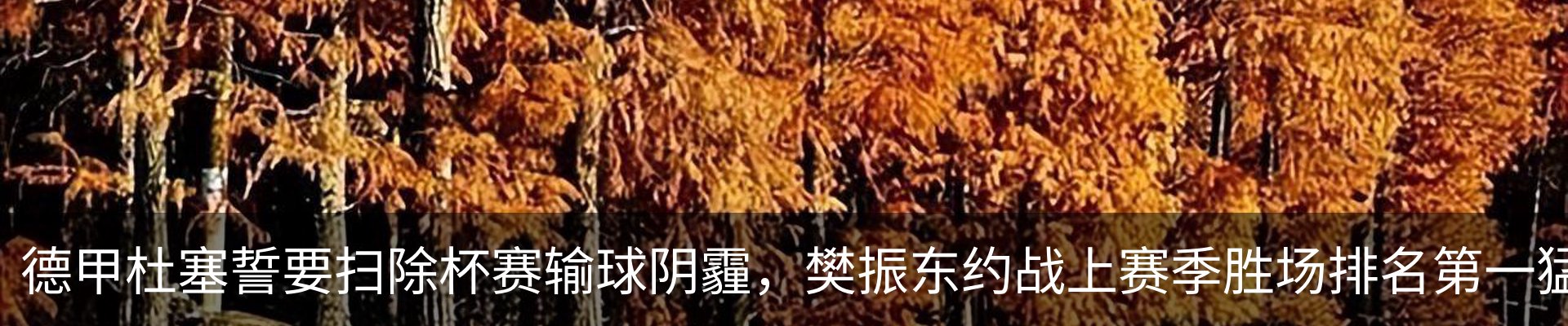 新闻中心
